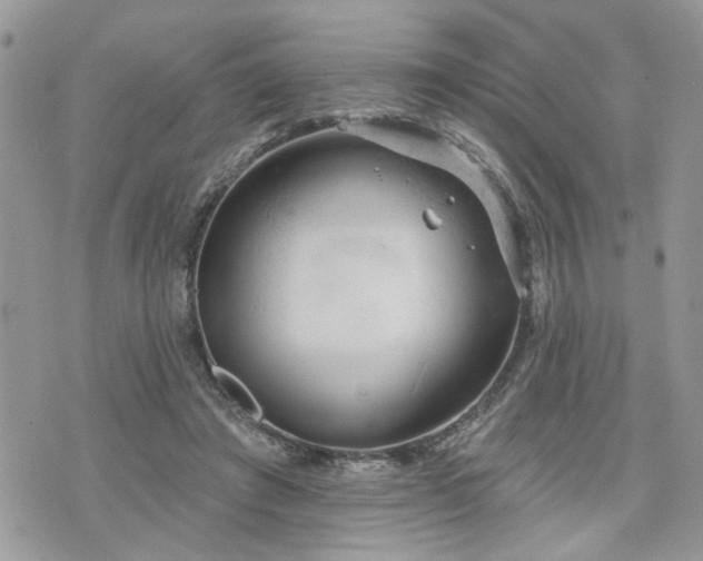 X0000076300401200609291041