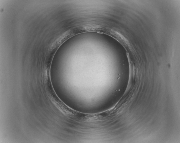 X0000076300405200609291041