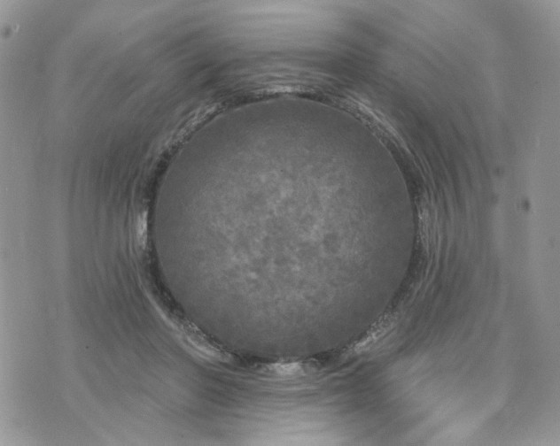 X0000076300406200609291041