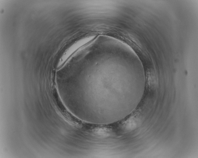 X0000076300408200609291041