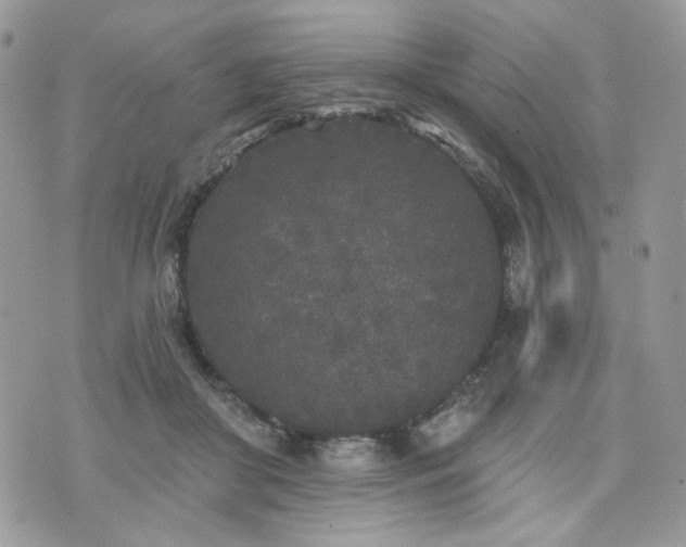 X0000076300410200609291041