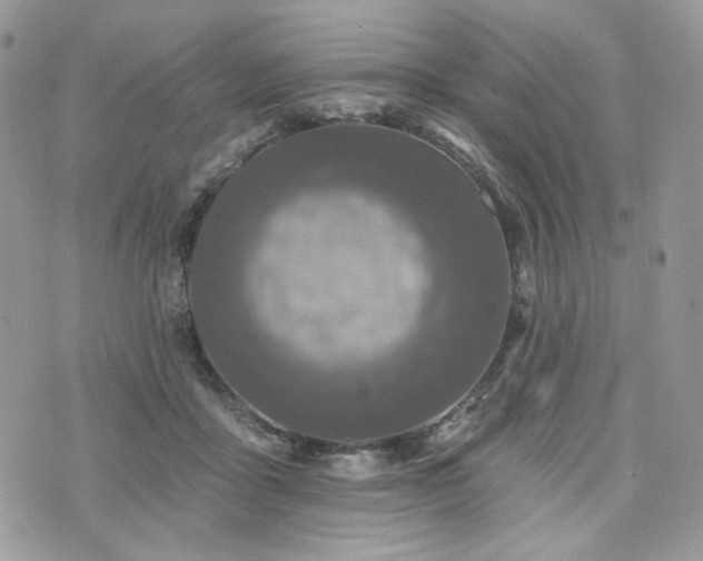 X0000076300411200609291041