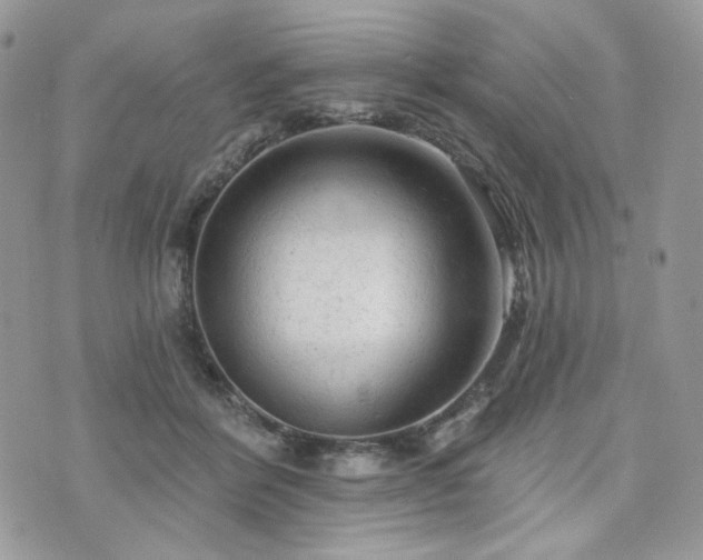 X0000076300412200609291041