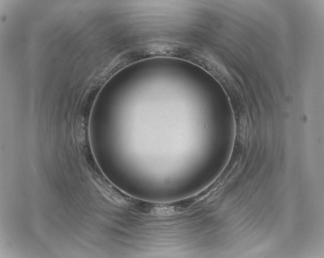 X0000076300413200609291041