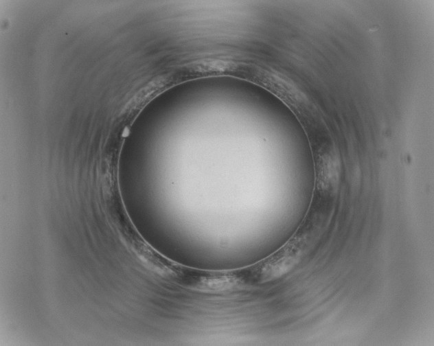 X0000076300414200609291040