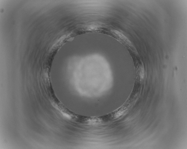 X0000076300415200609291040