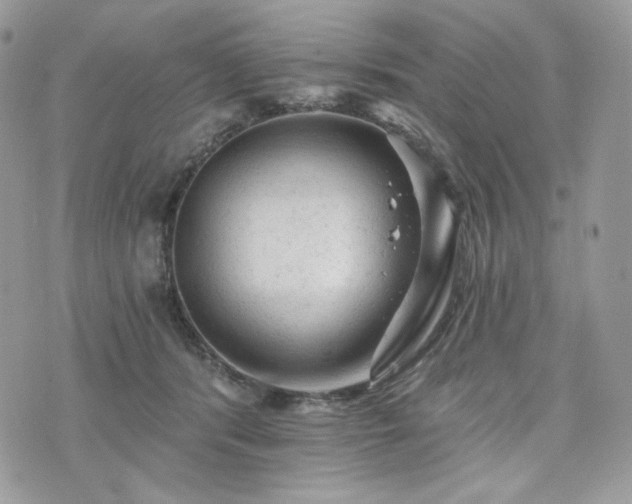 X0000076300416200609291040