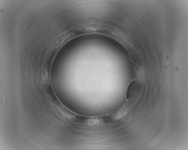 X0000076300418200609291040