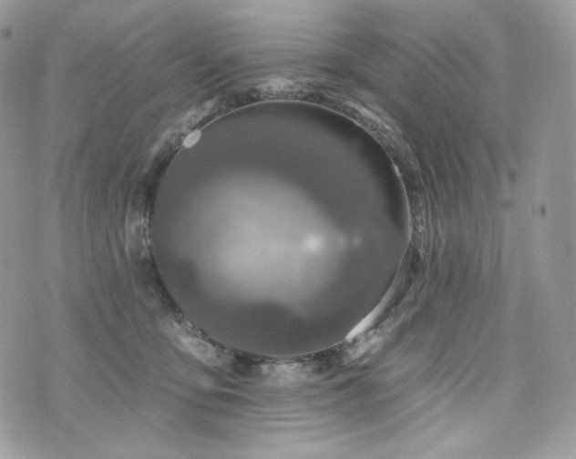 X0000076300419200609291040