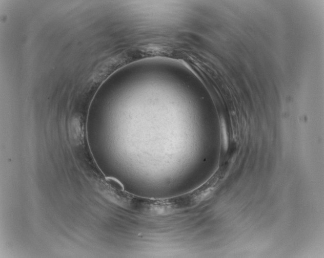 X0000076300420200609291040