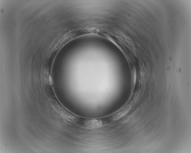 X0000076300421200609291040