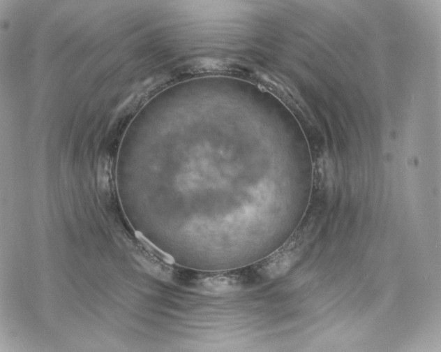 X0000076300423200609291040