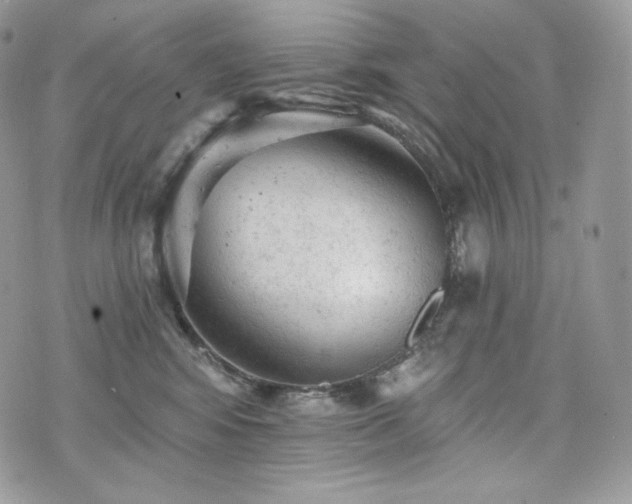 X0000076300424200609291040