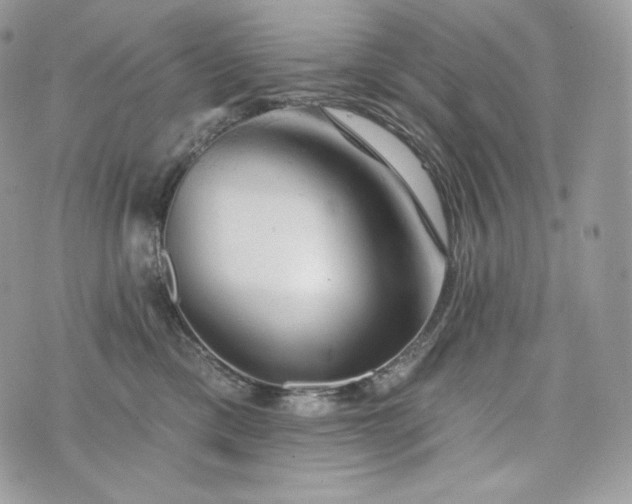 X0000076300425200609291040