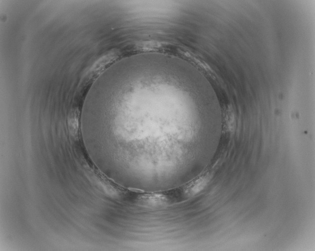 X0000076300427200609291040