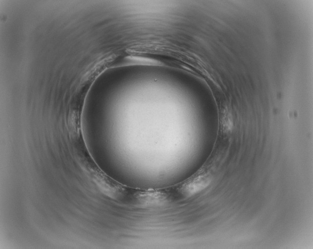 X0000076300428200609291040