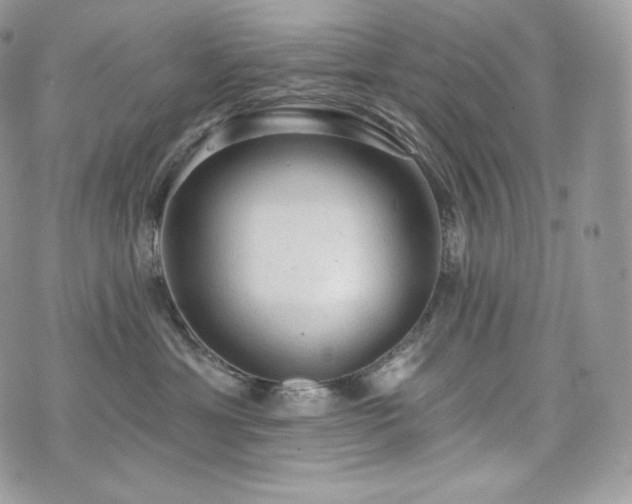 X0000076300429200609291040