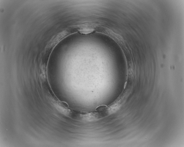 X0000076300430200609291040