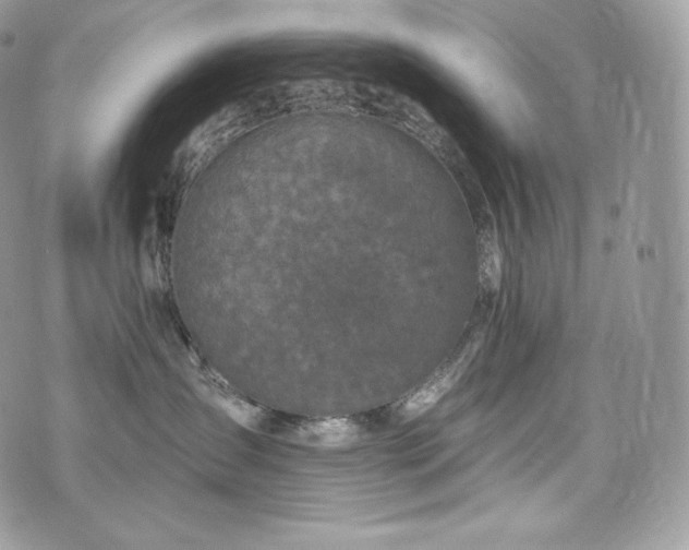 X0000076300431200609291040