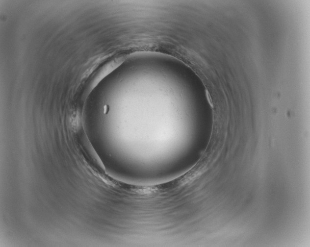 X0000076300432200609291040