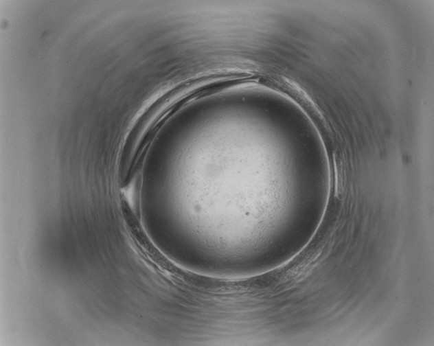 X0000076300435200609291039