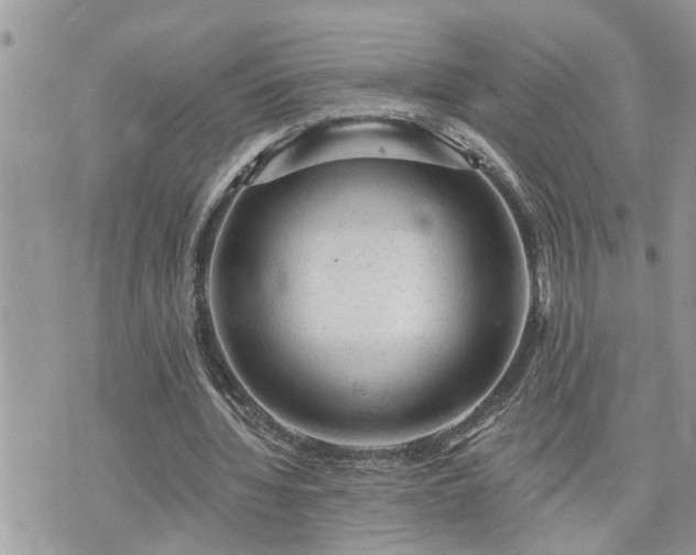 X0000076300436200609291039