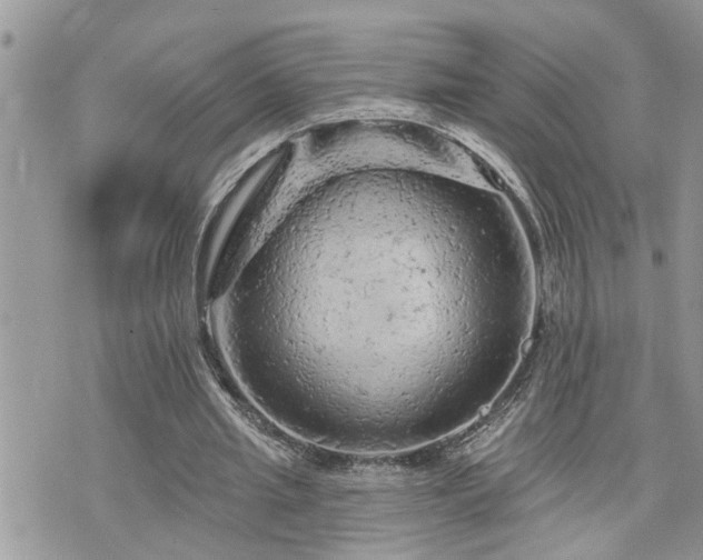 X0000076300437200609291039