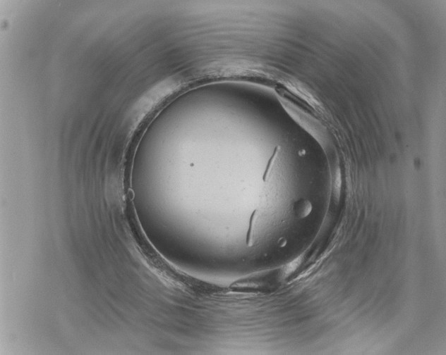 X0000076300438200609291039