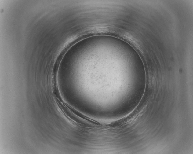 X0000076300439200609291040