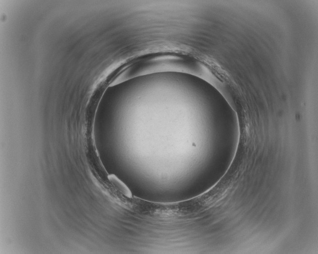 X0000076300440200609291040