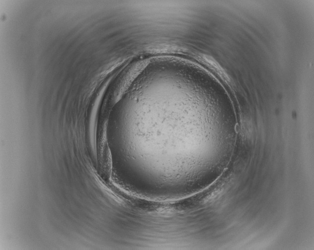 X0000076300441200609291040