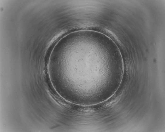 X0000076300443200609291040