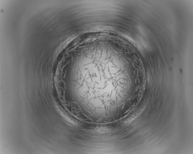 X0000076300445200609291040