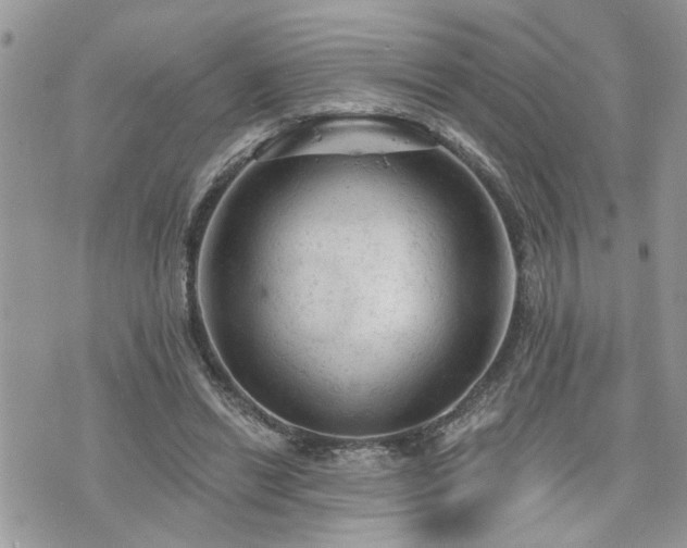 X0000076300446200609291040