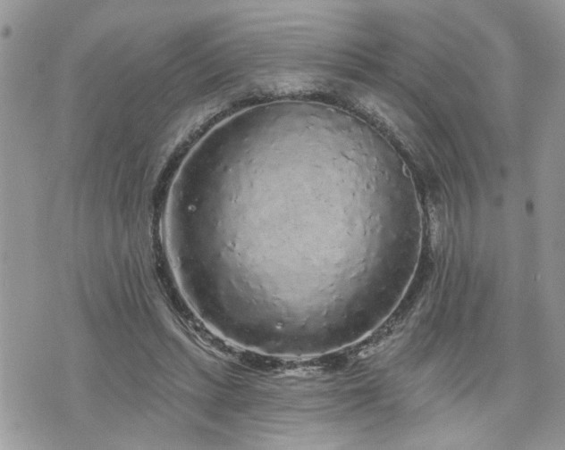 X0000076300447200609291040