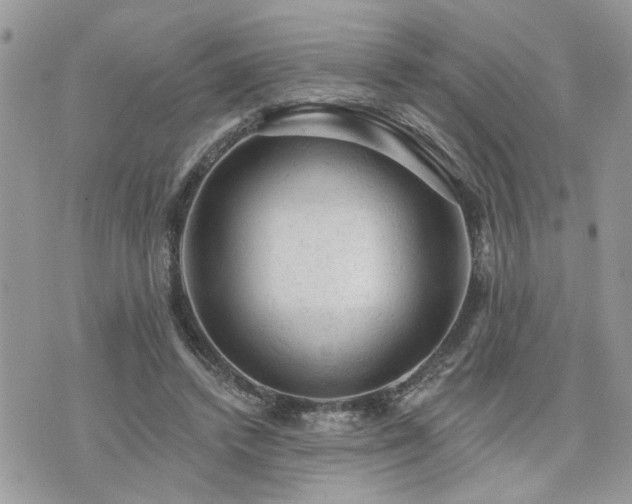 X0000076300448200609291040