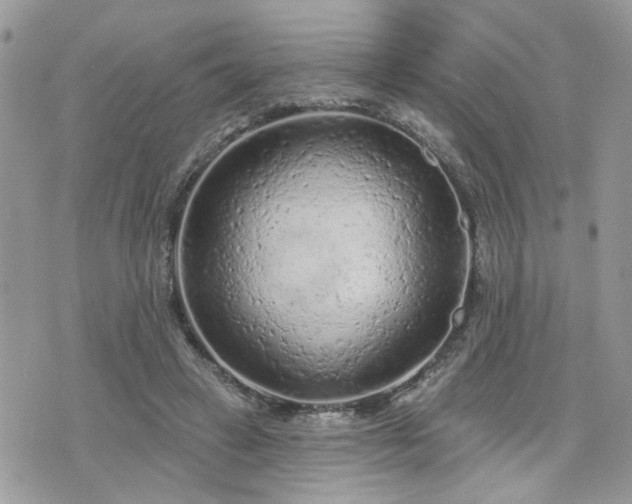 X0000076300449200609291040