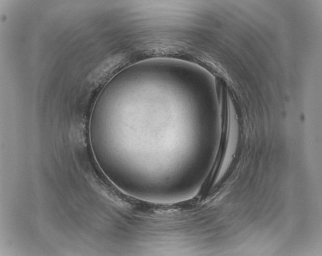 X0000076300450200609291040