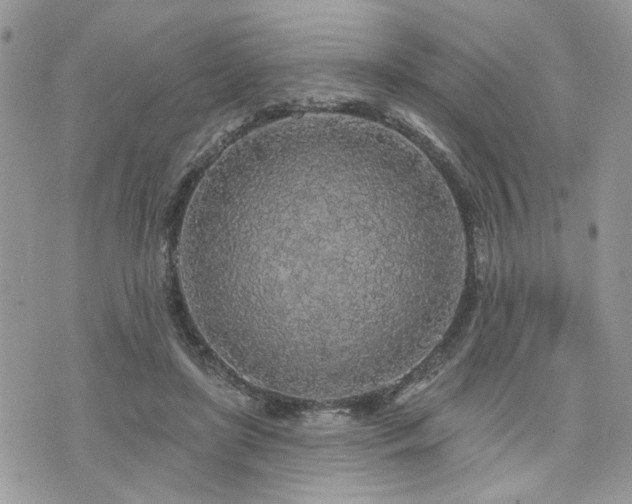 X0000076300451200609291040