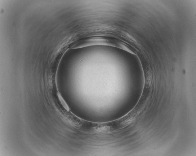 X0000076300452200609291040