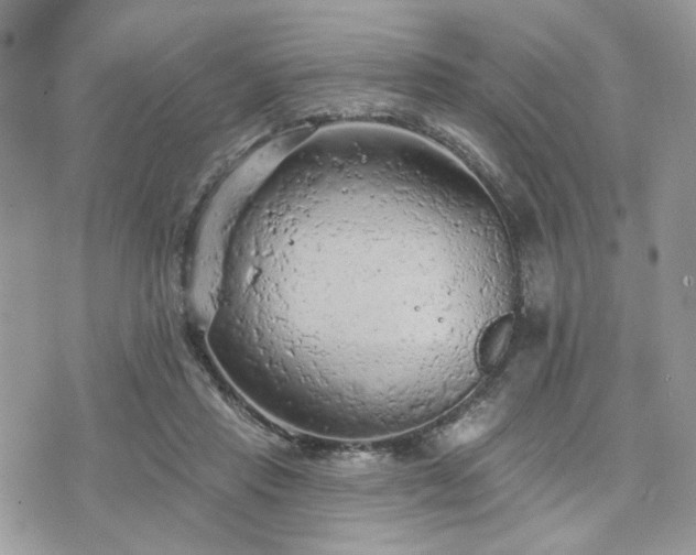 X0000076300453200609291040