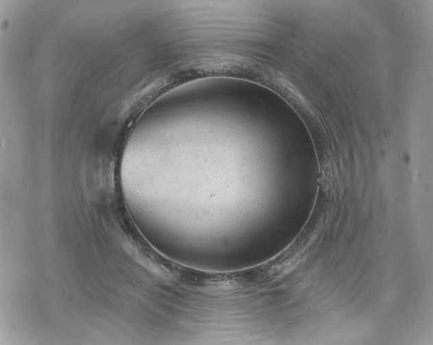 X0000076300454200609291040