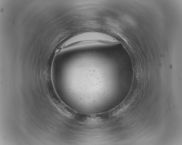 X0000076300455200609291040