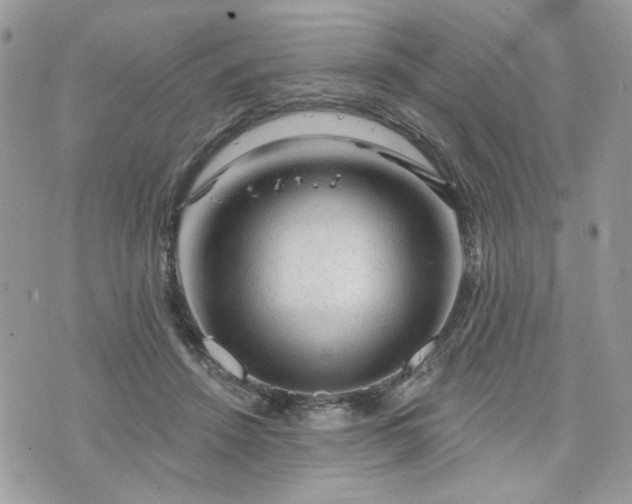 X0000076300456200609291040