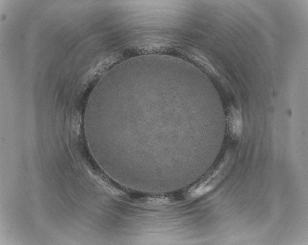 X0000076300458200609291040