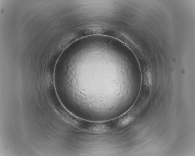 X0000076300459200609291040