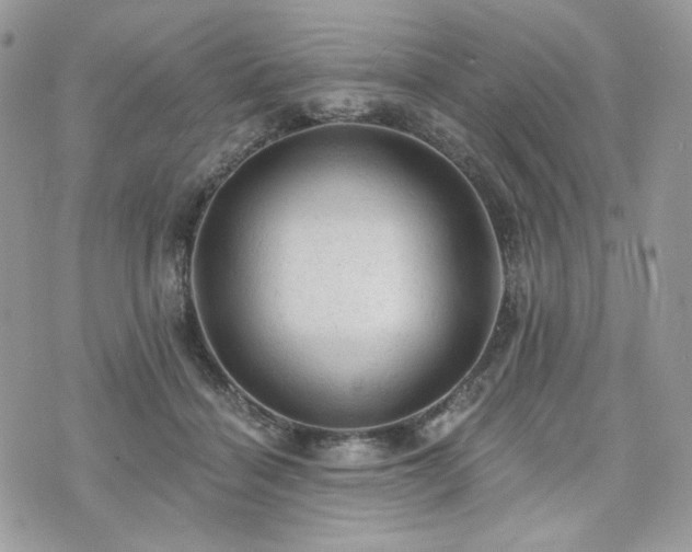 X0000076300460200609291040