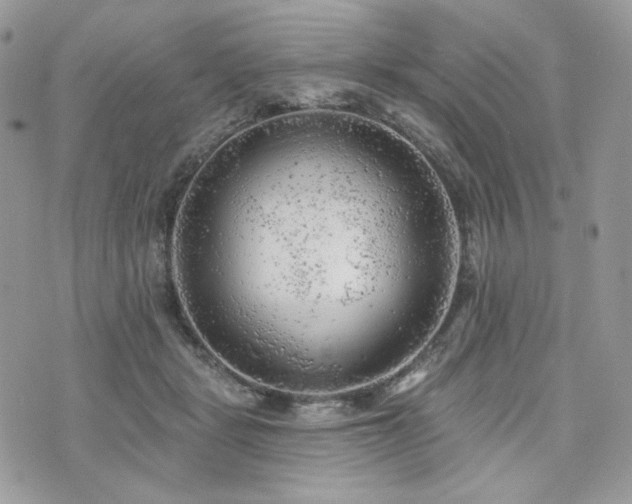 X0000076300461200609291040