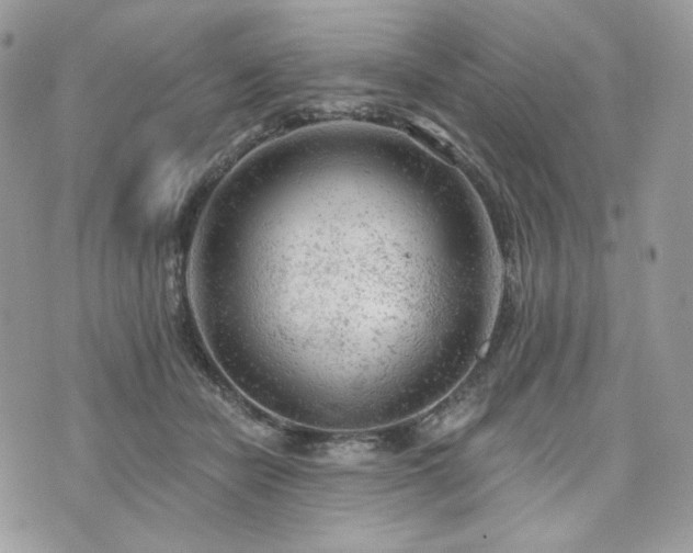 X0000076300462200609291040