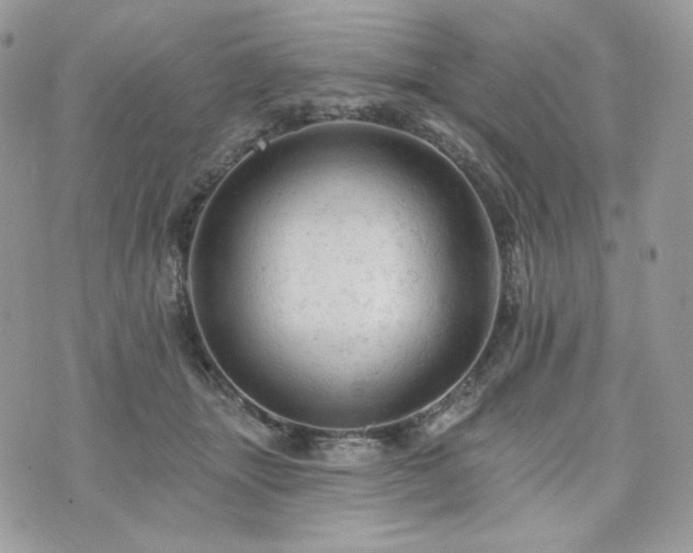 X0000076300463200609291040